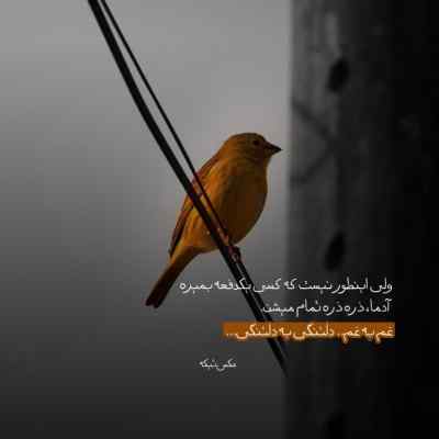 دانلود آهنگ مسعود صادقلو میزنه بی تو یواش قلبی که کندی از جاش