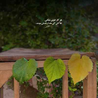 دانلود آهنگ محمد امیری وقتی زنگ میزنم چرا رد میزنی