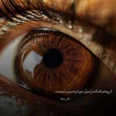 آهنگ گرفتی تو دست رگ خوابمو دستت اومد زود شهریار آریایی