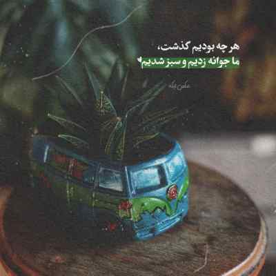 آهنگ تتلو برای امام رضا
