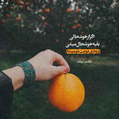 دانلود آهنگ سعید کریمی نه به شیراز اومدم و مست چشاتم و انار انار