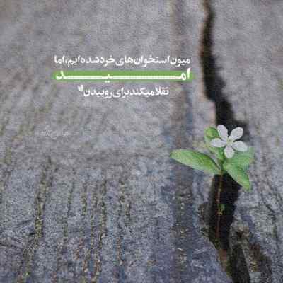 آهنگ فلک نظر به این حالم نکردی نگاهی به دل زارم نکردی اصغر علیزاده