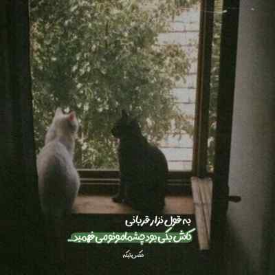 آهنگ ای بلا بالا بلا قربون اون نگاهت قربون راه رفتنت معین