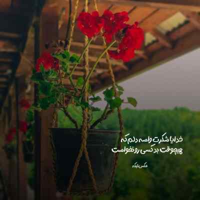 آهنگ چشمانش دار و ندارم بود دار و ندارم کو هوش مصنوعی