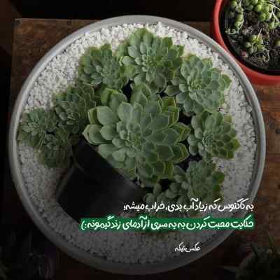 آهنگ بی تو چه وضعیه مگه میفهمی منو صدف و امین گویا