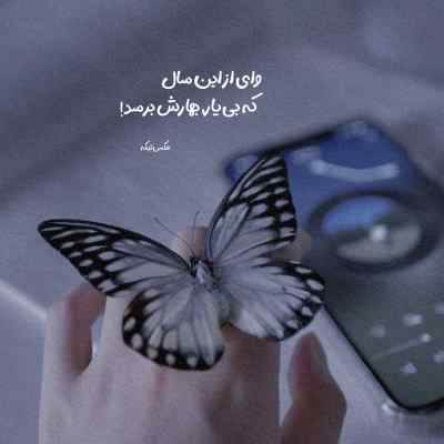 آهنگ i love you بیلی ایلیش