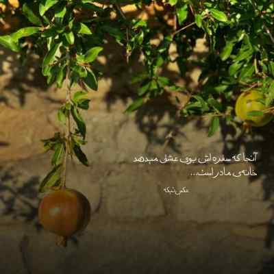 دانلود آهنگ محمد محرمی خط و نشون نکش هی واسه من