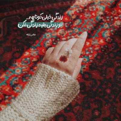 آهنگ وای بلرزون د بدو بیا بلرزون امشبو زیاد بلرزون