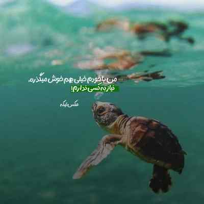 آهنگ بین آدمای شهر خبر دپیته چه خبر شایان رنجبر