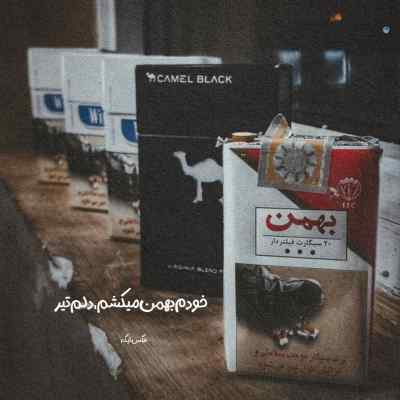 آهنگ ای دیر بدست آمده بس زود برفتی حبیب