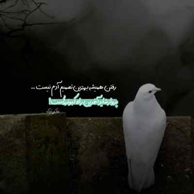 آهنگ دلم هنوز ولاد گیره یه روز نیوه نومه گیره آرمین برمایه
