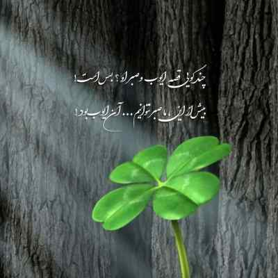 دانلود آهنگ علی پناهی هلو تولدمه بیارید کیکو