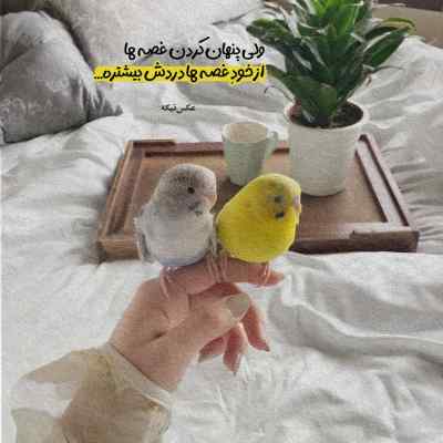 آهنگ کی اشکاتو پاک میکنه وقتی که گریه داری علی صفری