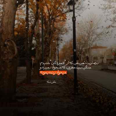 آهنگ گلی رو که چیدی دیگه نمیگیره جون ابوالفضل وظیفه