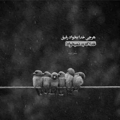 آهنگ هر گوهی خوردی باز کنارت راه اومدم شایع