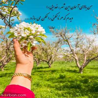 آهنگ من تورو راحت نمیدمت از دست حرفامو میزنم ولی تو برعکس یوسف زمانی