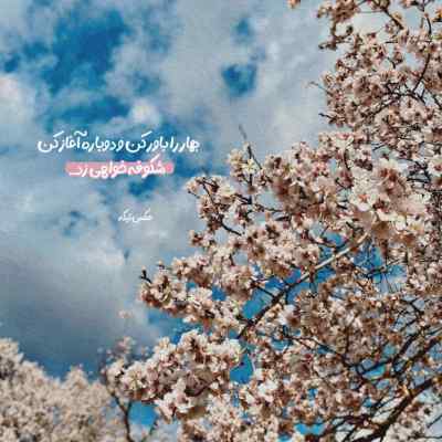 آهنگ جان یار امشو برو همه ی سر جمعه از محمدرضا علایی
