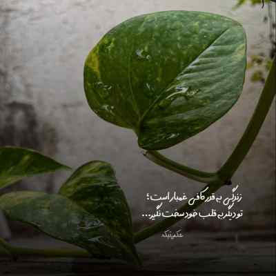 آهنگ نبود به نفعت خاطره هامون دفع شه