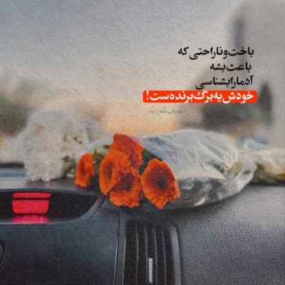 آهنگ برو عطرمو پاک کنش از تنت بیب شروین حاجی پور