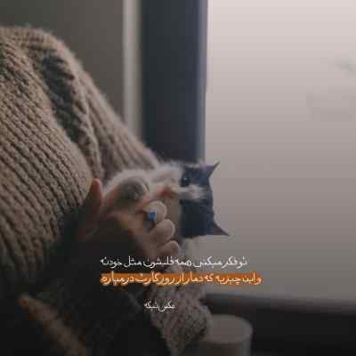 آهنگ SPOT از ZICO و JENNIE