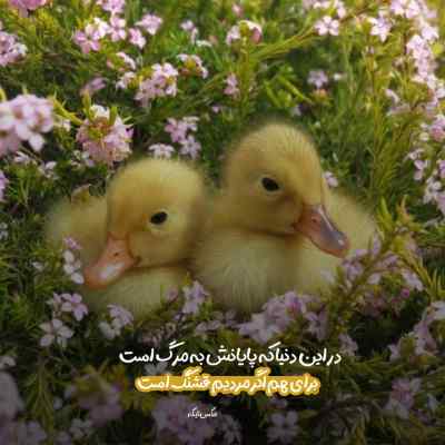 آهنگ وقتی جاده برفی بود دیدم از خونه دورم ریمیکس