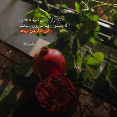 آهنگ قلبگم گیانگم عمرگم آگری که تو و قلبم نایده یوسف آران
