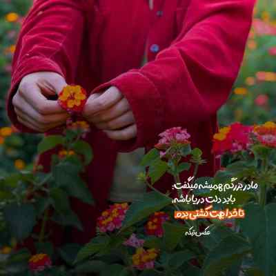 آهنگ بین آدمای شهر خبر دپیته چه خبر شایان رنجبر
