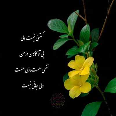 آهنگ آخرم بیدارمو ندیم کل شب و آخه طمع داره بدن و لبات هومان