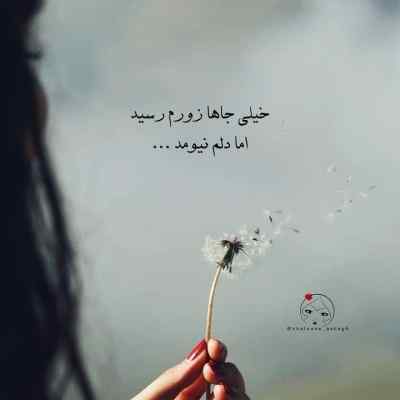 آهنگ عوضی مو چتری کامل 320 ریمیکس