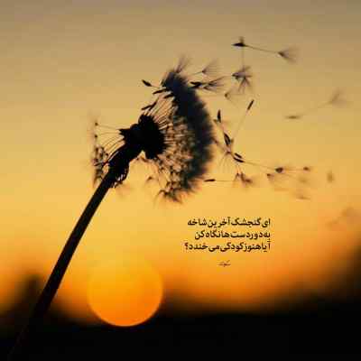 آهنگ بمونی برام نمیشه از فکرت درام هوش مصنوعی کیفیت 320