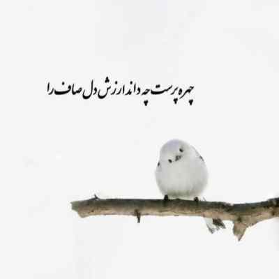آهنگ باور کن همه جا باتو شده بهشت بهنام بانی کیفیت 320