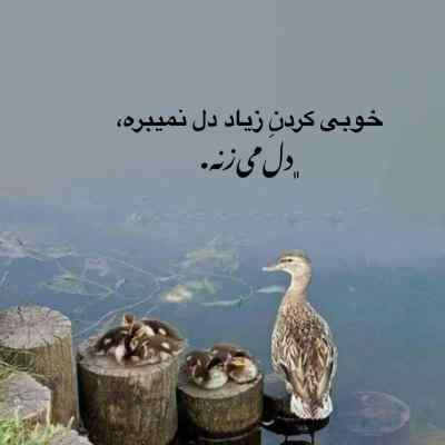 آهنگ کوله دونموشسون از Semicenk Ft Doğu Swag
