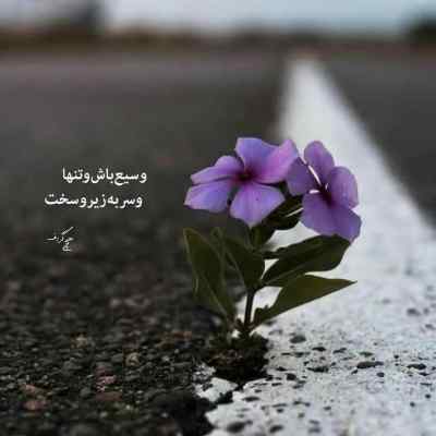 آهنگ یه نگام کن ای دختر دل منه بردی تو اینستایی کیفیت 320 ریمیکس