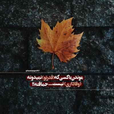 آهنگ کسی فکر نکنه مو بی برارم رضا محمدی