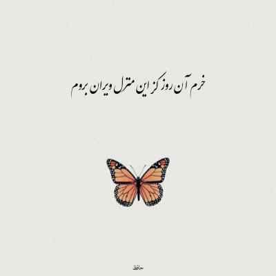 آهنگ دل مو دربدر چشمل حیرون تنه لری اینستا