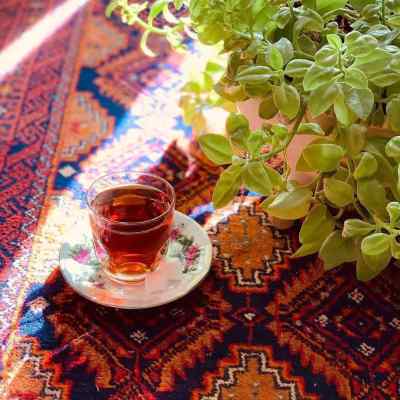 آهنگ الان عطر چنلت روی تن دوستامه رابطمونم که شد یه نمه دوستانه گفته بودم که بهم تکست نده