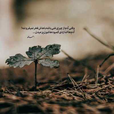 آهنگ گیسوی خوش رنگ حنایی داری اینستا سعید کریمی 320