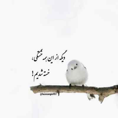 آهنگ نگو هنوز همونی کردی تو یه کارایی که دیگه خلسه
