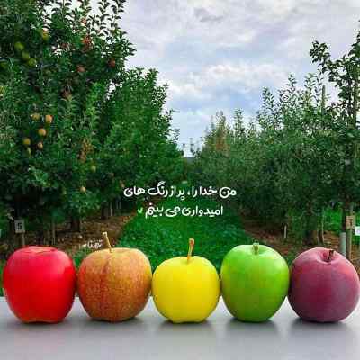 آهنگ لوسه ولی گوش کن علیراد + دانلود کیفیت 320