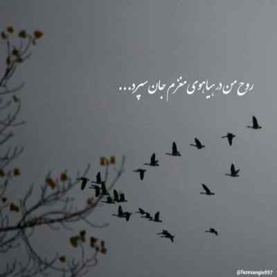 آهنگ اون اسلحه اش چشاشه مژه هاش صدتا گلوله هیپهاپولوژیست