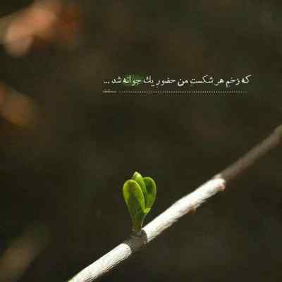 آهنگ تتلو من دلم تنگه واسه دلخوشی کوچیک + دانلود ریمیکس