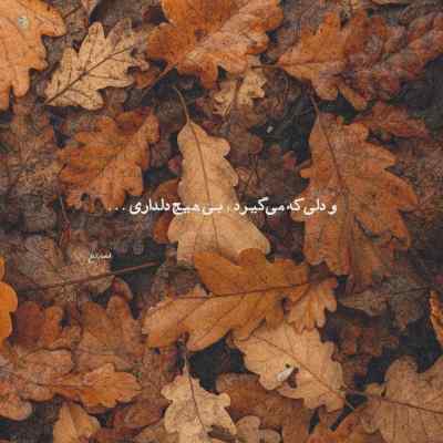 آهنگ زیر چش سیل مکنی قایم نکو ع مه سیلتو علی احمدیانی + دانلود