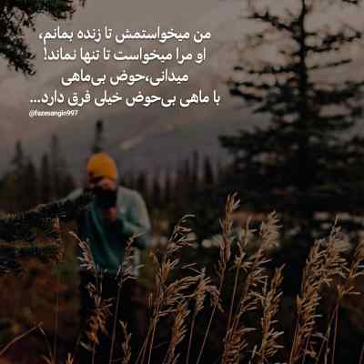 آهنگ به سرم زده باز هوای تو به نگاه تو گره خورده دلم گیتار اینستا