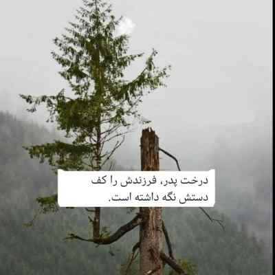 دانلود آهنگ ناز نکن یار عشوه نکن های خت سرو نازی لری
