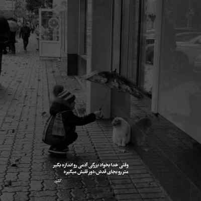 آهنگ پوریا احمدی میمیرم برات به خدا + دانلود کیفیت 320