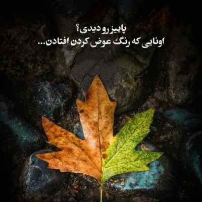 آهنگ به گمونم دل تو جای دیگس کیفیت 320 ریمیکس