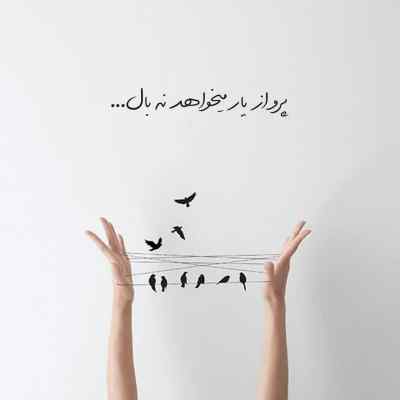 آهنگ ای به داد من رسیده تو روزای خود شکسته 320