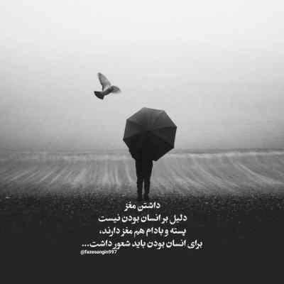 آهنگ میدونم نمیتونی منو ببخشی هر کسی جای تو بود همین کارو میکرد