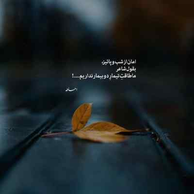 آهنگ نه نرو نرو نرو نرو نرو لیلا نرو لیلا با صدای دختر اینستایی