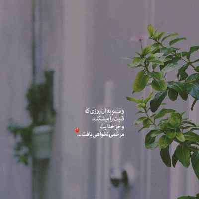 آهنگ من اگر مست و خرابم به تو چه با صدای زن کیفیت 320